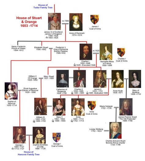 tudor and stuart dynasty|history of the stuart family.